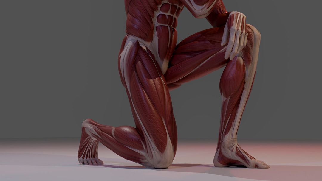 full body stretching routine cover image